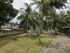 Amandoluwa - Land in Negombo