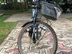 Amarican Egale Japan Bicycle
