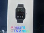 Amazfit GTS 2 Mini
