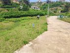 Amazing Location Land for Sale Nuwara Eliya