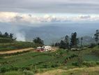 Amazing Location Land for Sale Nuwara Eliya