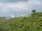 Amazing View Land sale in Pussellawa
