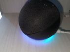 Amazon Echo Dot