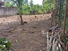 Ambalangoda Land for Sale (SSPL-152)