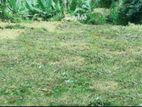 Land for Sale Ambalantota