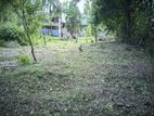 Ambalantota පදිංචියට සුදුසු ඉඩමක්
