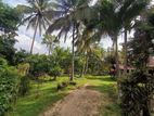 Land with House for Sale in Ambanpola