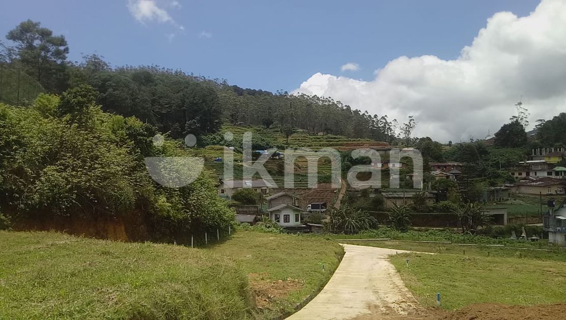 Ambewela Horton Plains Road Land of Sale Nuwaraeliya | ikman