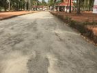 අඹගස්වැව නේවාසික බිම් කොටස් විකිණීමට