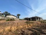අම්බලන්ගොඩ කුලීගොඩ ඉඩම විකිණීමට Land for sale Ambalangoda