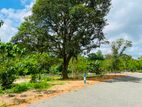 අම්බලන්ගොඩ නගර සභා සීමාවෙන් ඉඩම