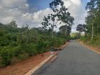 අම්බලන්ගොඩ තල්ගස්ගොඩ සුදුවැල්ල පාරේ
