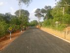 අම්බලන්ගොඩින් බිම් කොටස්