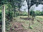අම්බලන්තොට නගරයට නුදුරින් පර්චස් 31ක අගනා ඉඩමක් විකිණීමට