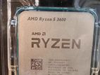 AMD Ryzen 5 3600