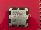 AMD Ryzen 5 5600 Processor