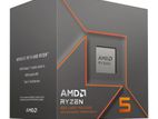 AMD Ryzen 5 8500G 6 Cores, 12 Threads Processor