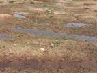 AMPARA : 40P VALUABLE RESIDENTIAL LAND FOR SALE in Sammanthurai