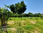 AMPARA : 8 ACRE PRIME BEACHFRONT LAND FOR SALE in Pottuvil