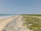 AMPARA : 80P PRIME BEACHFRONT LAND FOR SALE in Pottuvil