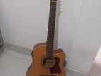 Andier 12 string sami acoustic Guitat