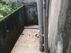 Anex for rent
