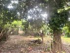 Angoda Land for Sale