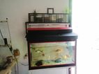 Fish Tank with Accessories