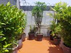 Annex for rent in Colombo 8