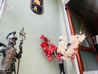 Annex for Rent in Malabe