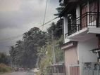 Annex for Rent in Peradeniya