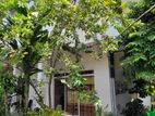 Annex Rent in Negombo (Daluwakotuwa)