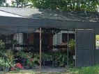 Anthurium Net Green House