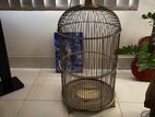 Antique Bird cage