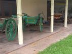 antique Bull Carriage
