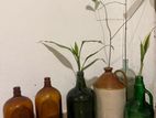 Antique Glass Bottles