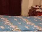 Antique Single Bed