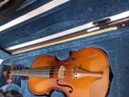 Antonio back violin