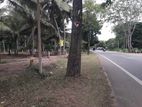 අනුරාධපුර බස් පාරින් පදිංචියට ඉඩමක්