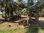 අනුරාධපුර බස් පාරට නුදුරින් පදිංචියට ඉඩමක්