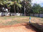 අනුරාධපුර දහයියාගම හංදියෙන්ම සුපිරි සින්නක්කර බිම්කොටසක්