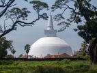අනුරාධපුර ඉඩමක්