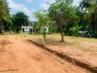 අනුරාධපුර ඉඩමක් පූජා නගරයට කිට්ටුවෙන්