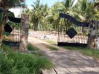 අනුරාධපුර කුරුණෑගල බස් පාරෙන්ම බලල්ලෙන් ඉඩමක්