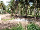 අනුරාධපුර කුරුණෑගල බස් පාරෙන්ම බළල්ල කිට්ටුවෙන් ඉඩමක්