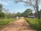 අනුරාධපුර Land for Sale