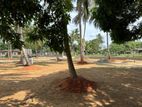අනුරාධපුර මිහින්තලා ප්‍රධාන බස් පාරට නුදුරින් ඉඩමක්