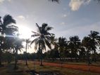 අනුරාධපුර නාච්චාදූව ඉඩමේ බිම්කොටස් 10