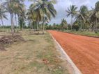 අනුරාධපුර නාච්චාදූවෙන් සින්නක්කර බිම්කොටස් විකිණීමට