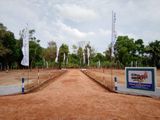 අනුරාධපුර නගරයට කිට්ටුවෙන් සින්නක්කර බිම් කොටස්